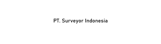 Surveyor